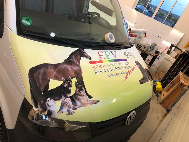 Tiermedizinische Anwendungen – Physikalische Verfahren zwischen Erfahrung, Entwicklung und praktischer Unterstützung